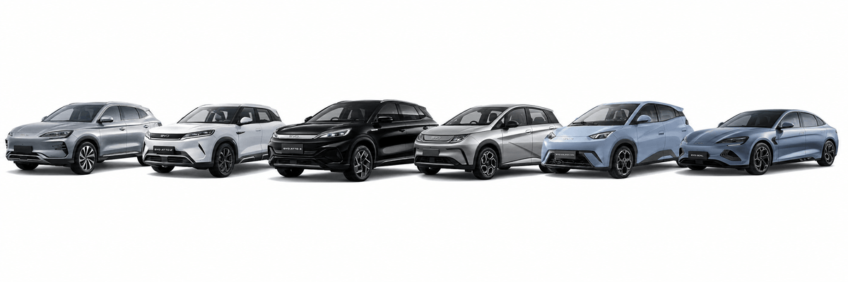 BYD Organizadores